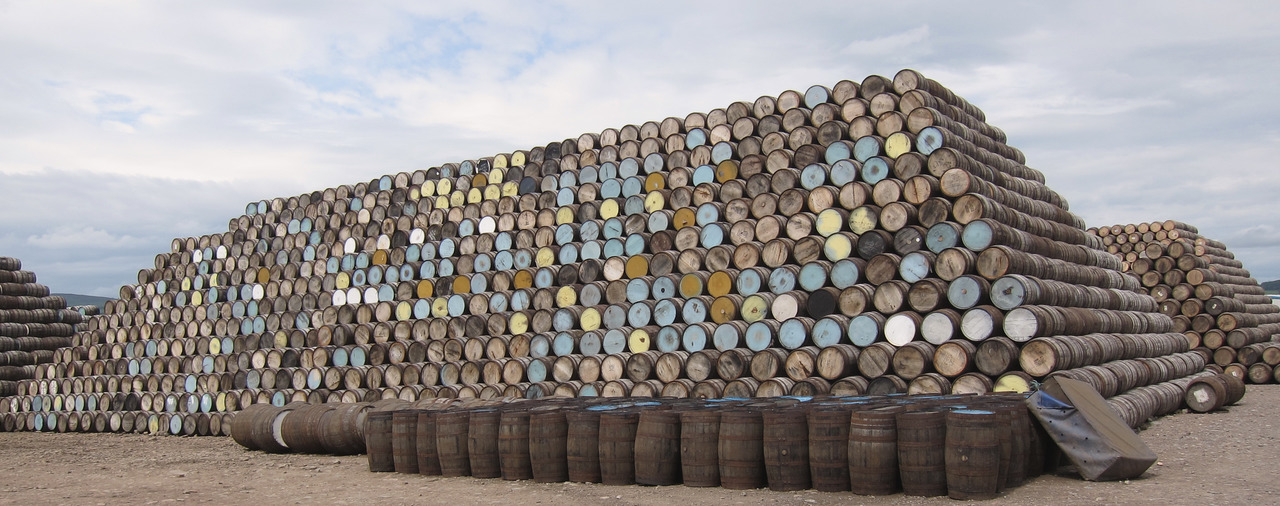 Quirky Quercus: Types Of Cask Used In Whisky Maturation