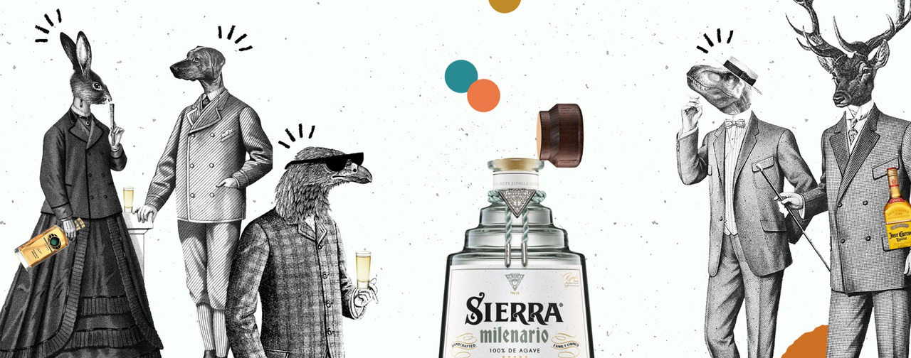 5 Most Googled Questions About Tequila