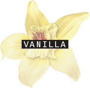 Vanilla